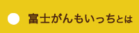 富士がんもいっちとは